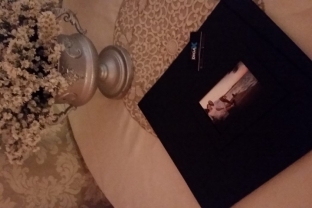 <?php// echo $modelo['titulo']; ?>